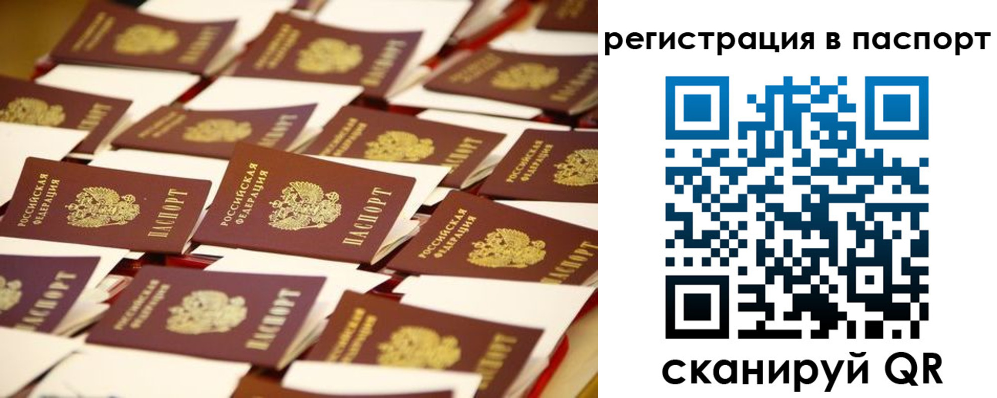прописка гарантия в Онеге